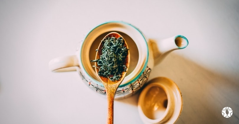 blog the du vietnam thes rares thes vietnamiens tea teas 93 | Thé Du Vietnam