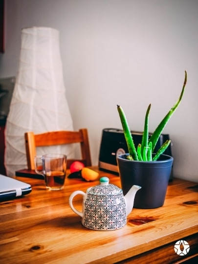 blog thumbnail the du vietnam thes rares thes vietnamiens tea teas 31 | Thé Du Vietnam