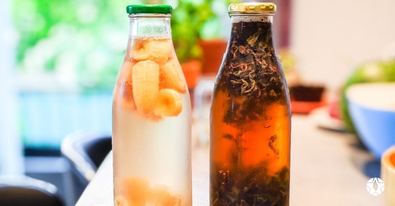 blog the du vietnam thes rares thes vietnamiens tea teas 5 | Thé Du Vietnam