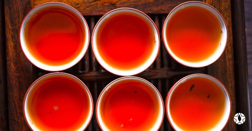 Dégustation de notre thé rouge Bio, le HOÀNG SU PHÌ DO CUEILLETTE IMPÉRIALE. | Thé Du Vietnam blog the du vietnam thes rares thes vietnamiens tea teas 6 | Thé Du Vietnam