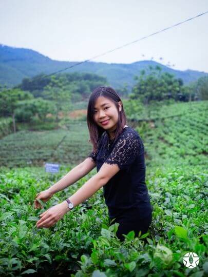 blog thumbnail the du vietnam thes rares thes vietnamiens tea teas 1 | Thé Du Vietnam