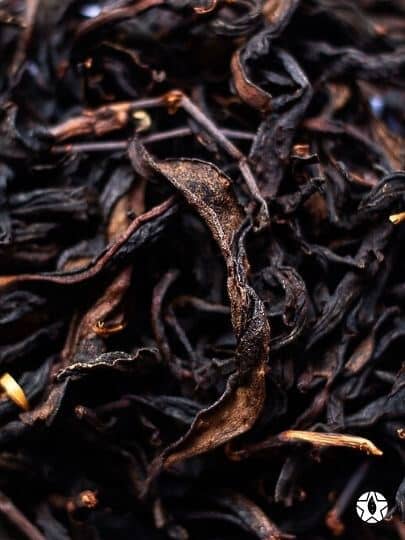 blog thumbnail the du vietnam thes rares thes vietnamiens tea teas 1 1 | Thé Du Vietnam
