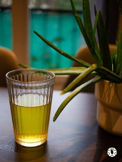 blog thumbnail the du vietnam thes rares thes vietnamiens tea teas 3 1 | Thé Du Vietnam