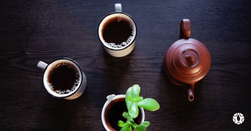 blog the du vietnam thes rares thes vietnamiens tea teas 4 1 2 1 | Thé Du Vietnam