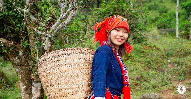 blog the du vietnam thes rares thes vietnamiens tea teas 4 1 | Thé Du Vietnam