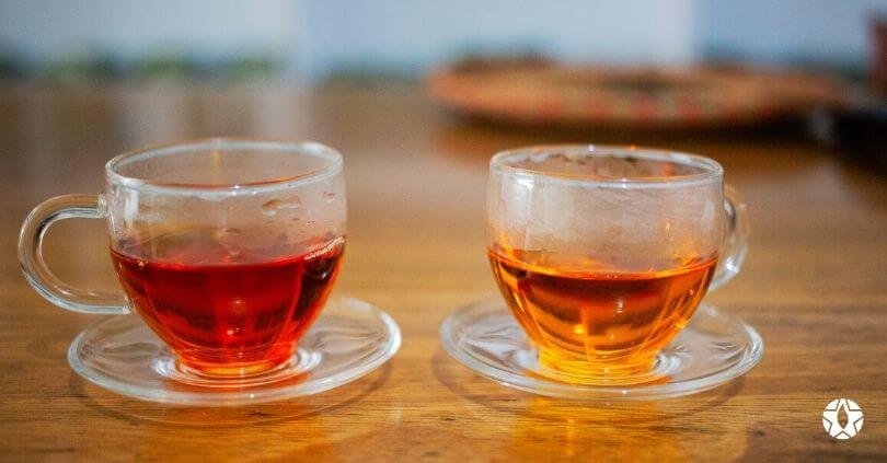 blog the du vietnam thes rares thes vietnamiens tea teas 9 1 | Thé Du Vietnam
