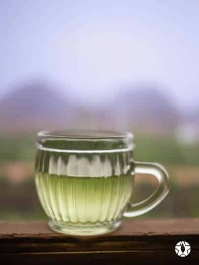 blog thumbnail the du vietnam thes rares thes vietnamiens tea teas 5 1 | Thé Du Vietnam