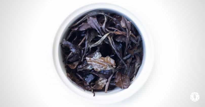 blog the du vietnam thes rares thes vietnamiens tea teas 2 1 | Thé Du Vietnam