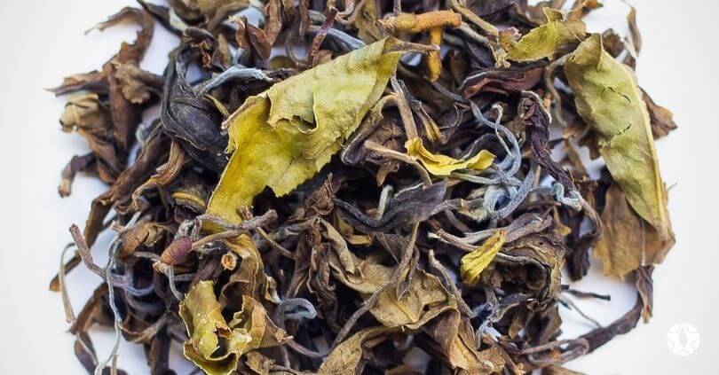 blog the du vietnam thes rares thes vietnamiens tea teas 4 1 | Thé Du Vietnam