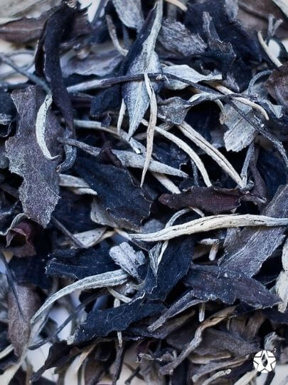 blog thumbnail the du vietnam thes rares thes vietnamiens tea teas 2 | Thé Du Vietnam