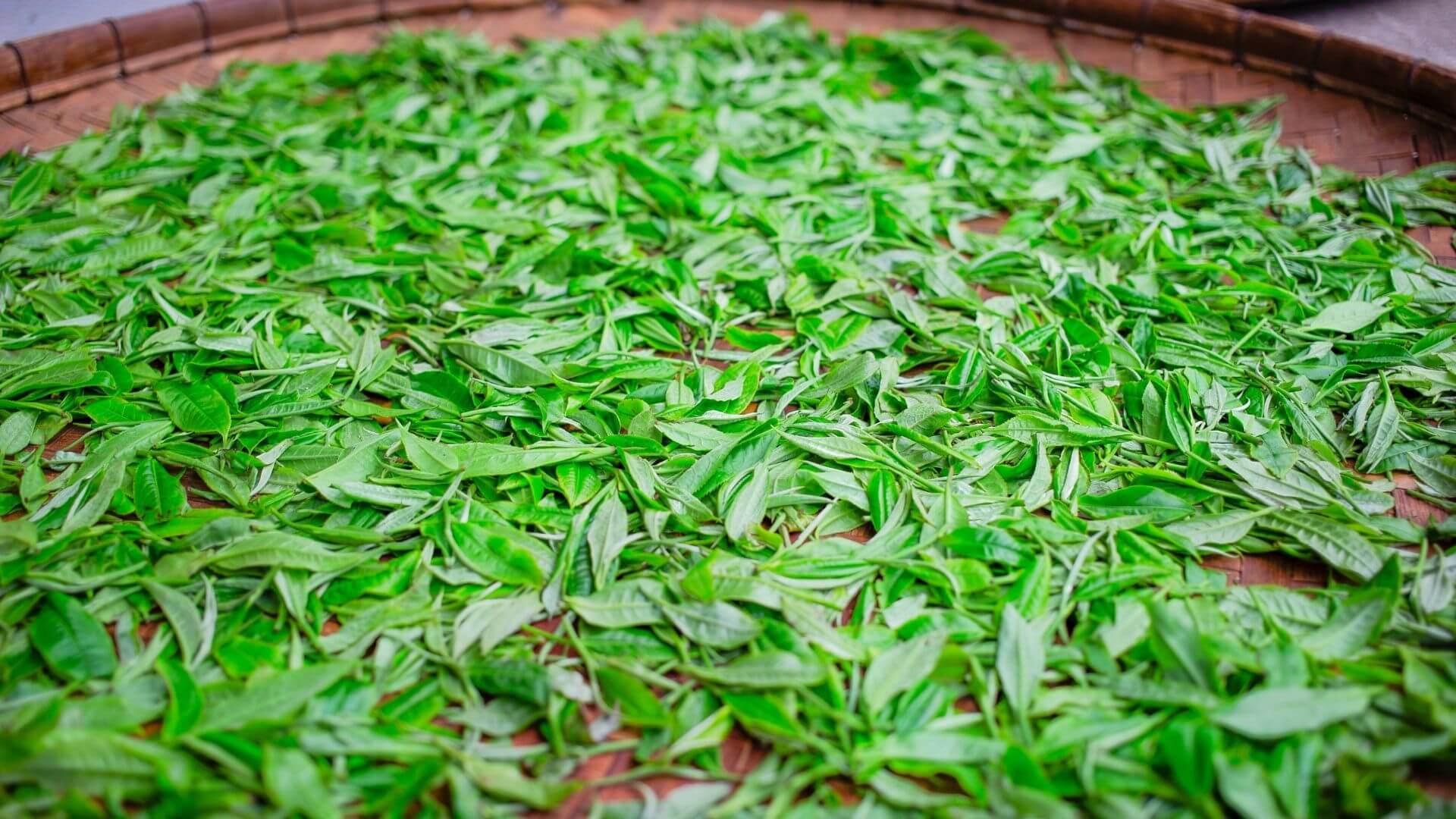 general background the du vietnam offre nouveaux thes 2018 1 1 | Thé Du Vietnam
