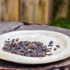 Thé Oolong Noir THANH TÂM ĐEN Roulé Cueillette de Printemps 2023