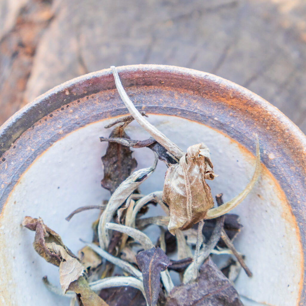 MẪU ĐƠN