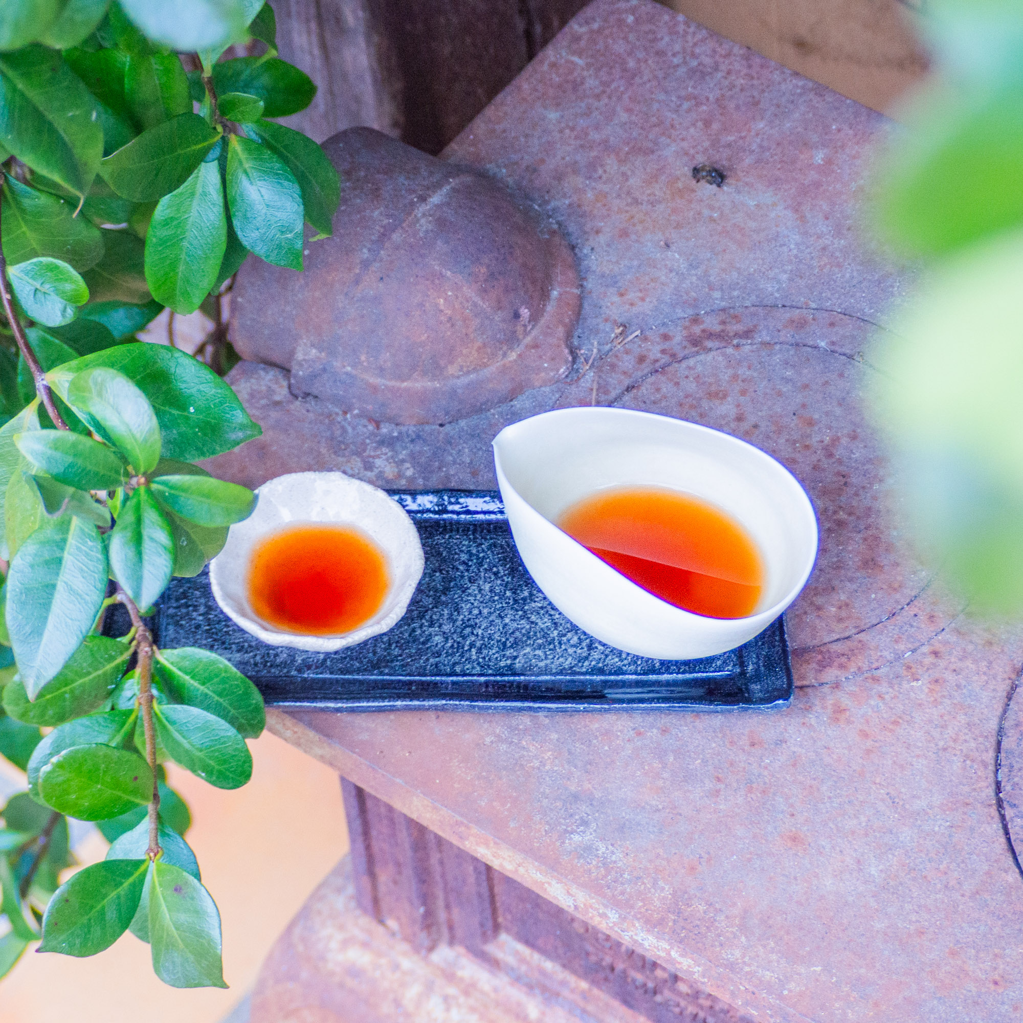 Thé Pu-erh Sauvage Cuit Millésime 2017 en Tablette | Thé Du Vietnam Thé Pu-erh Sauvage Cuit Millésime 2017 en Tablette – Image 9