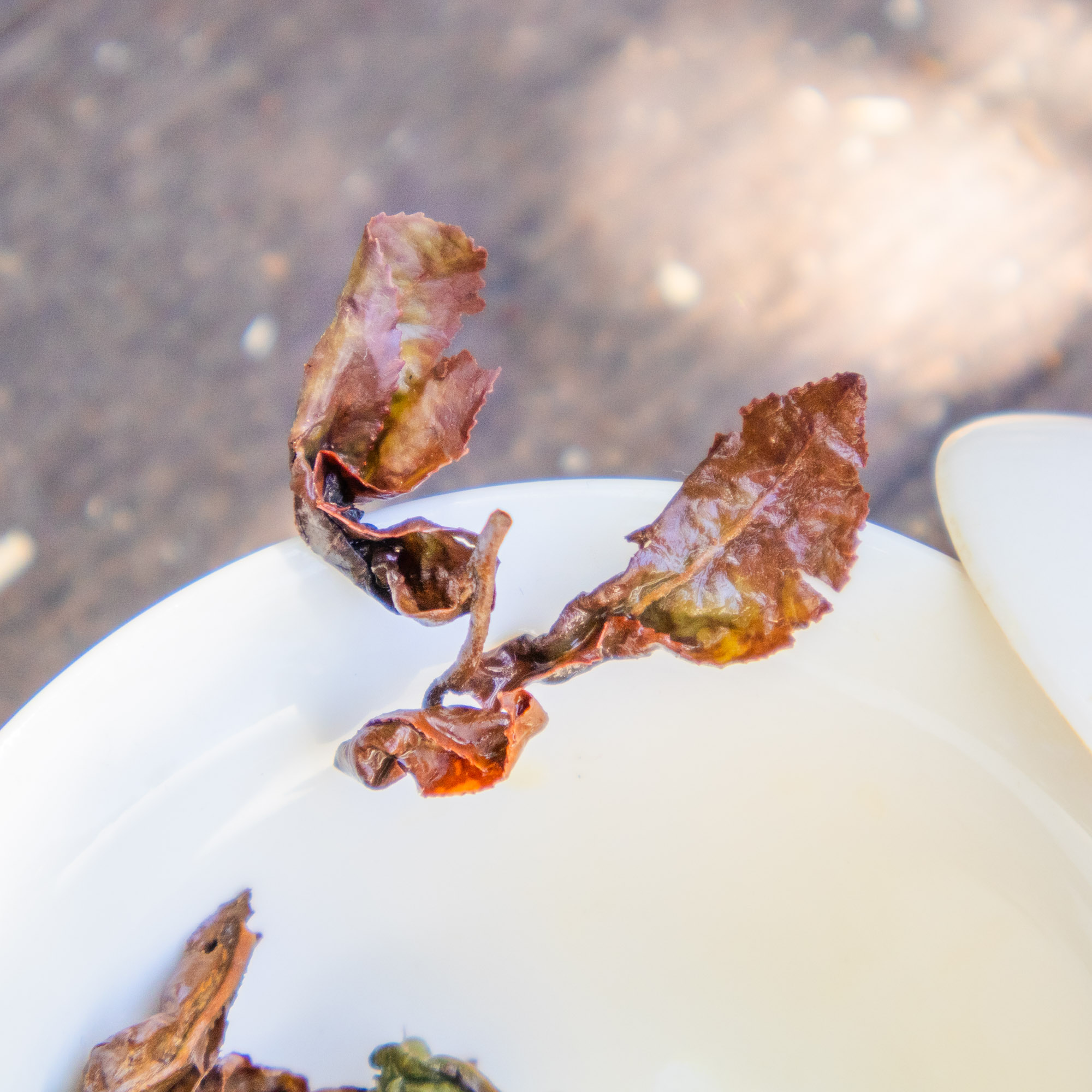 Thé Oolong Rare QUÝ PHI Cueillette d' Automne 2023 | Thé Du Vietnam Thé Oolong Rare QUÝ PHI Cueillette d' Automne 2023 – Image 15