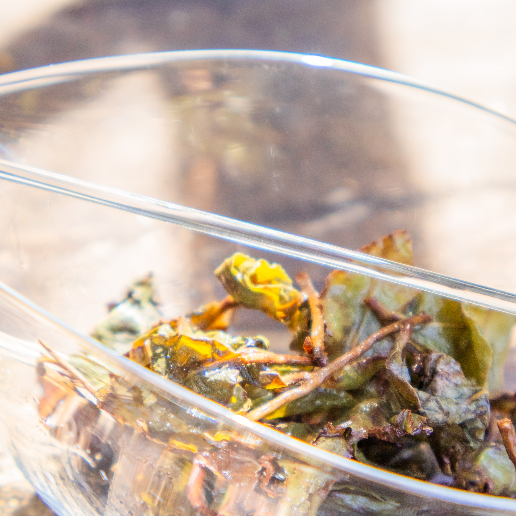Thé Oolong Rare QUÝ PHI Cueillette d' Automne 2023 | Thé Du Vietnam Thé Oolong Rare QUÝ PHI Cueillette d' Automne 2023 – Image 4