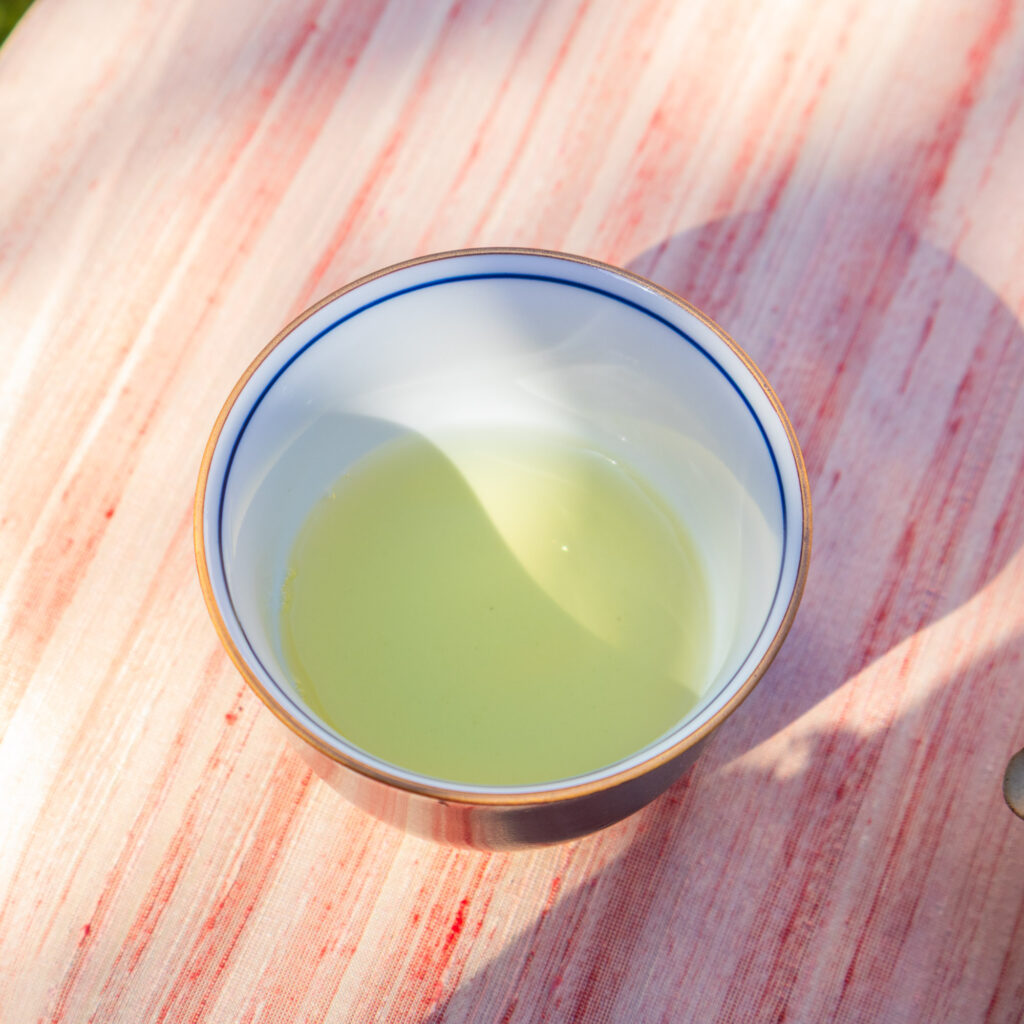 Thé Oolong Vert THANH TÂM XANH Cueillette d'Automne 2024 | Thé Du Vietnam Thé Oolong Vert THANH TÂM XANH Cueillette d’Automne 2024