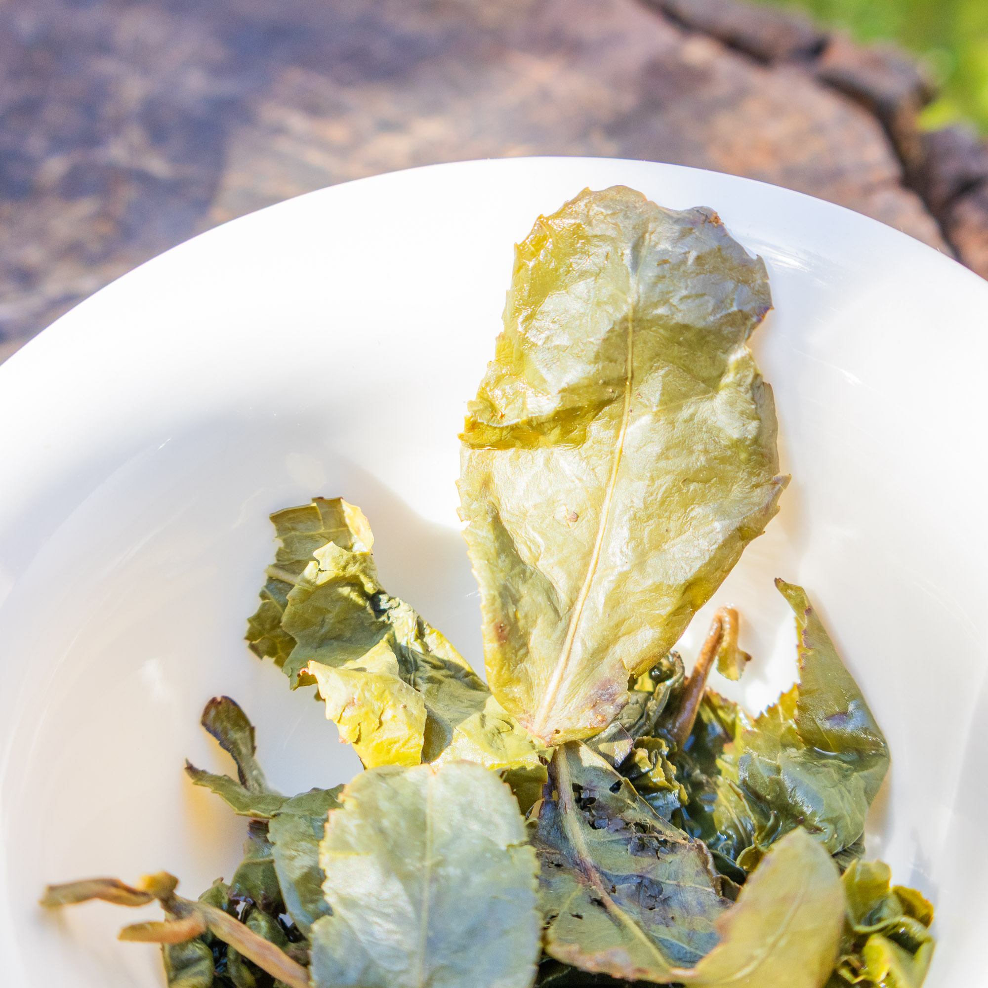 Thé Oolong Vert THANH TÂM XANH Cueillette d'Automne 2024 | Thé Du Vietnam Thé Oolong Vert THANH TÂM XANH Cueillette d'Automne 2024 – Image 15