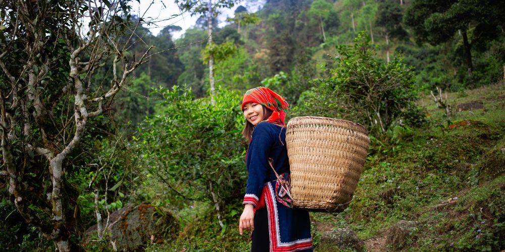 new blog hero picture 3 | Thé Du Vietnam