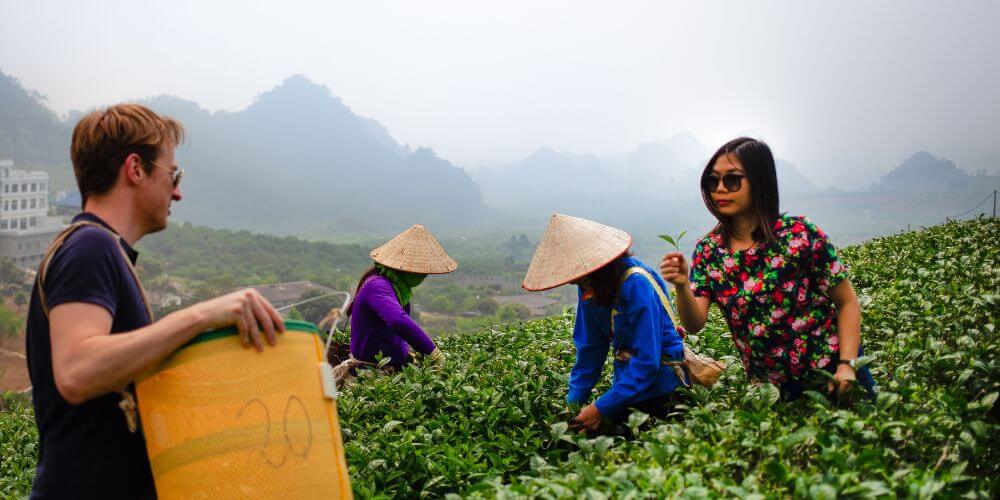 new blog hero picture 8 2 | Thé Du Vietnam