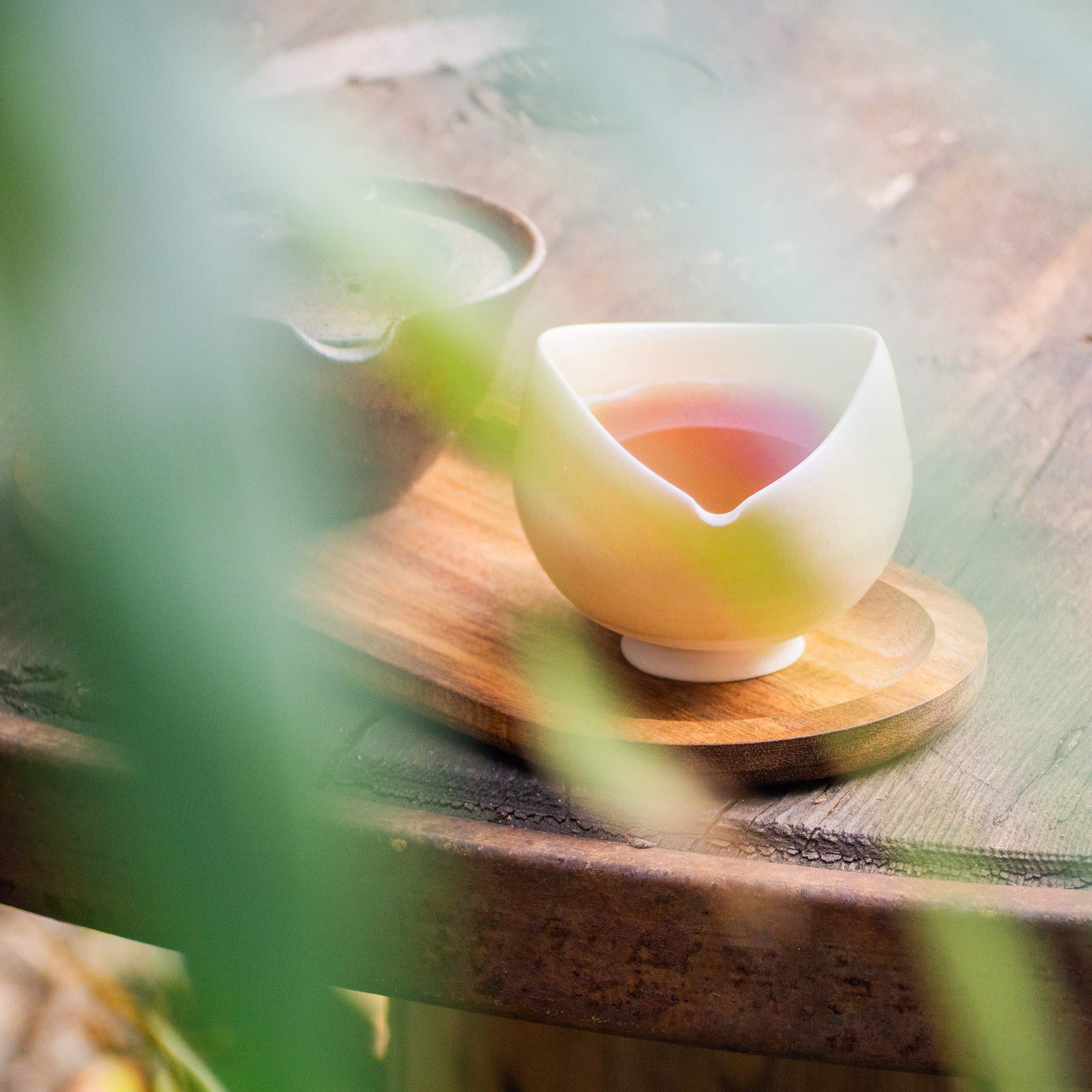 Thé Pu-erh Sauvage Cuit Millésime 2017 Fumé dans du Bambou | Thé Du Vietnam Thé Pu-erh Sauvage Cuit Millésime 2017 Fumé dans du Bambou – Image 13