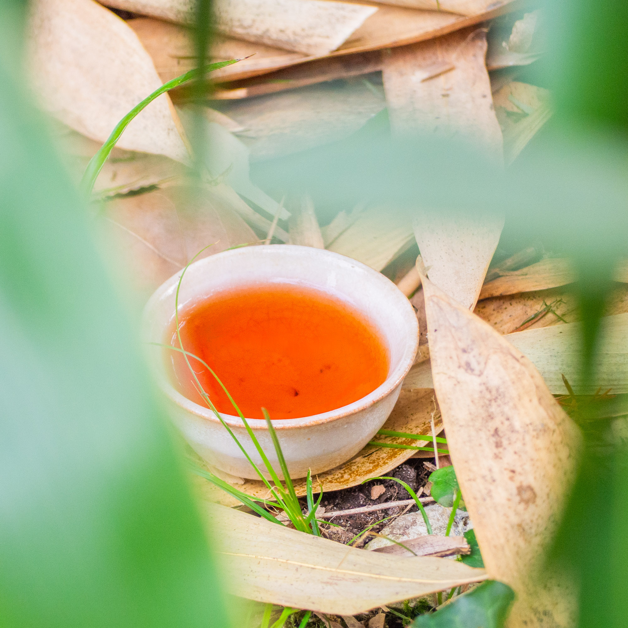 Thé Pu-erh Sauvage Cuit Millésime 2017 Fumé dans du Bambou | Thé Du Vietnam Thé Pu-erh Sauvage Cuit Millésime 2017 Fumé dans du Bambou – Image 14