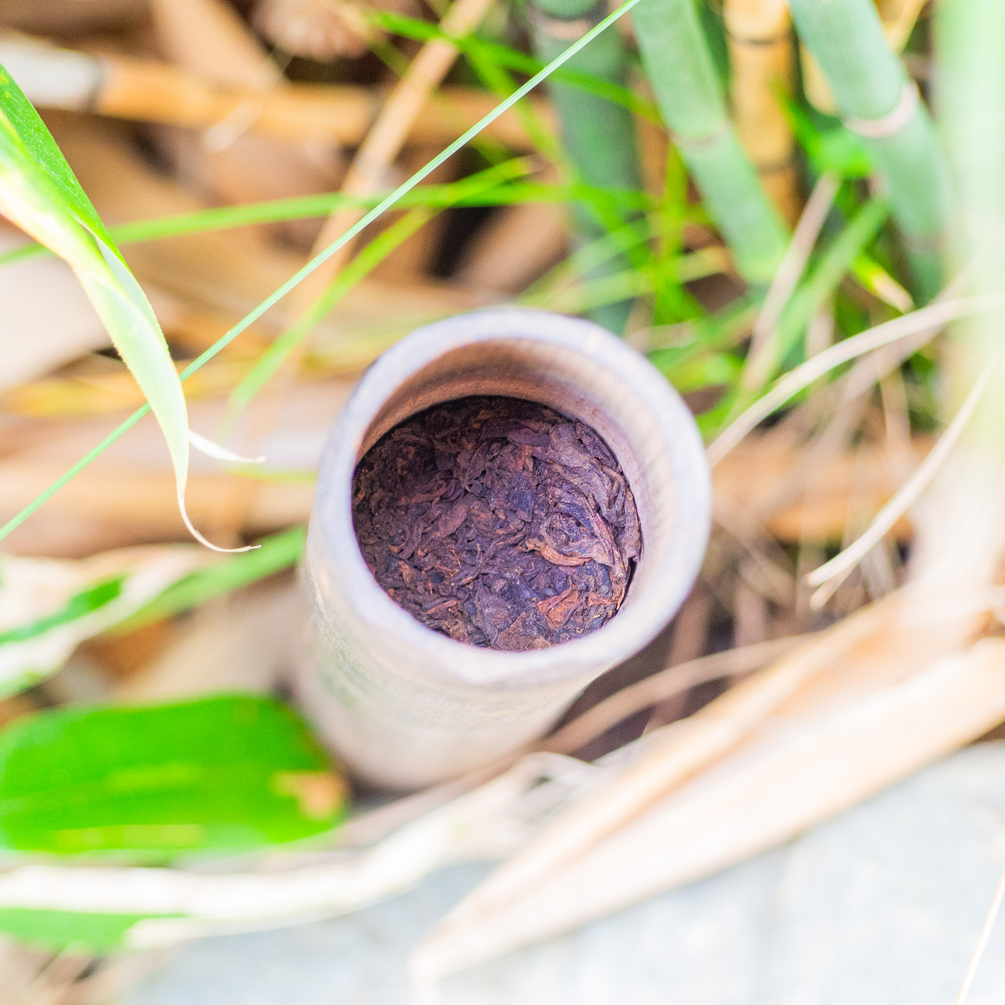 Thé Pu-erh Sauvage Cuit Millésime 2017 Fumé dans du Bambou | Thé Du Vietnam Thé Pu-erh Sauvage Cuit Millésime 2017 Fumé dans du Bambou – Image 3