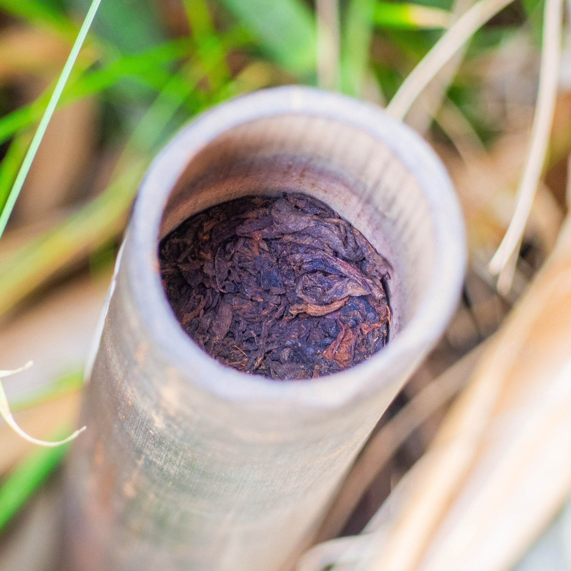Thé Pu-erh Sauvage Cuit Millésime 2017 Fumé dans du Bambou | Thé Du Vietnam Thé Pu-erh Sauvage Cuit Millésime 2017 Fumé dans du Bambou – Image 4