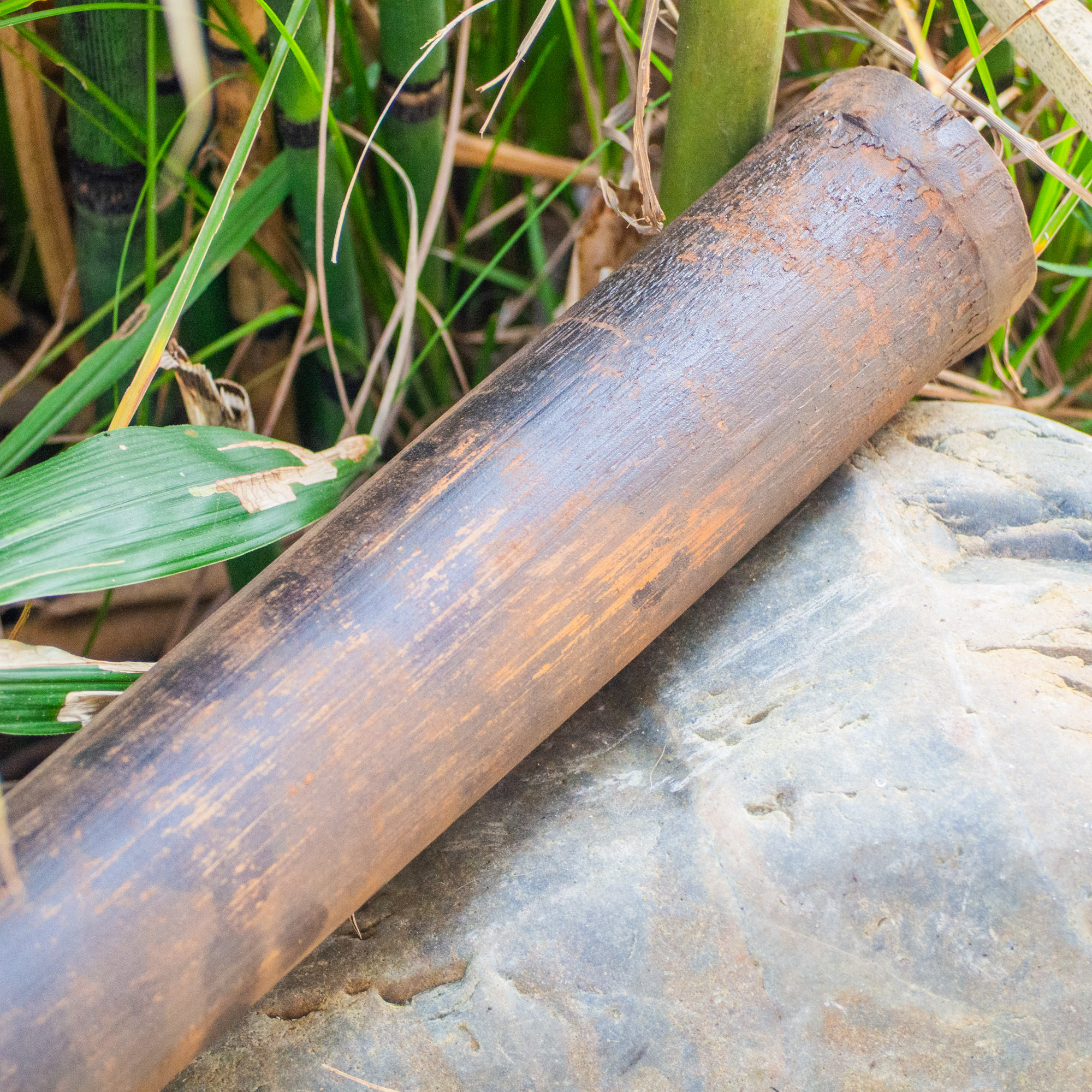 Thé Pu-erh Sauvage Cuit Millésime 2017 Fumé dans du Bambou | Thé Du Vietnam Thé Pu-erh Sauvage Cuit Millésime 2017 Fumé dans du Bambou – Image 2