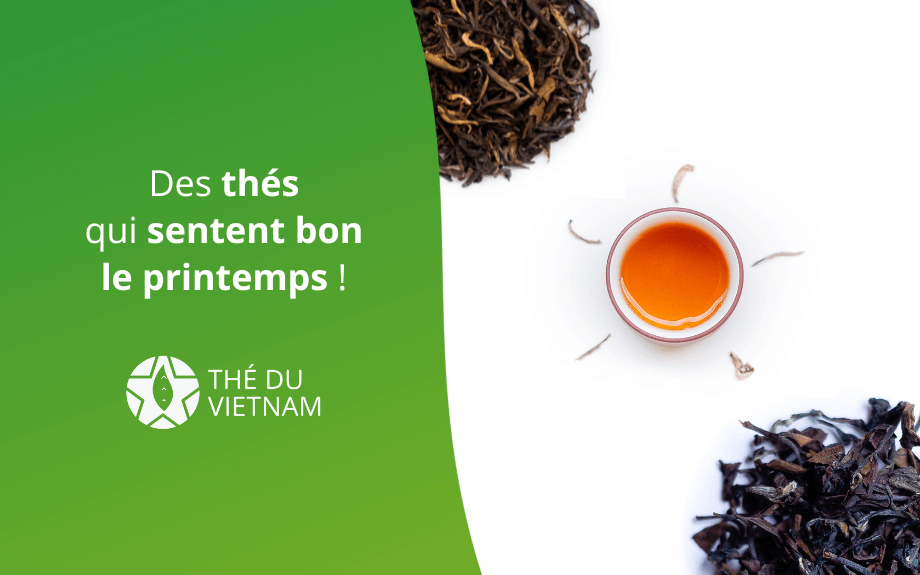 new blog hero picture 2023 5 1 | Thé Du Vietnam