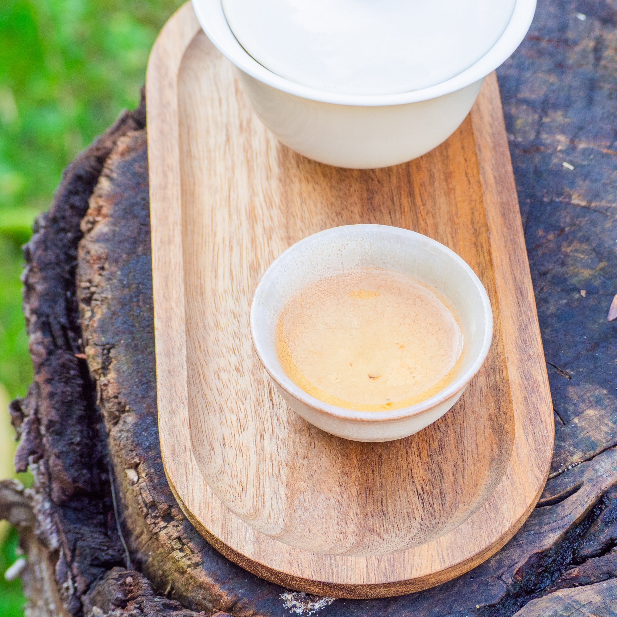 Thé Oolong Rare GABA Cueillette d'Automne 2024 | Thé Du Vietnam Thé Oolong Rare GABA Cueillette d'Automne 2024 – Image 9