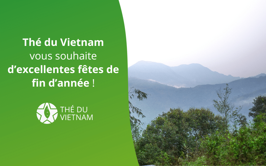 new blog hero picture 2023 1 | Thé Du Vietnam