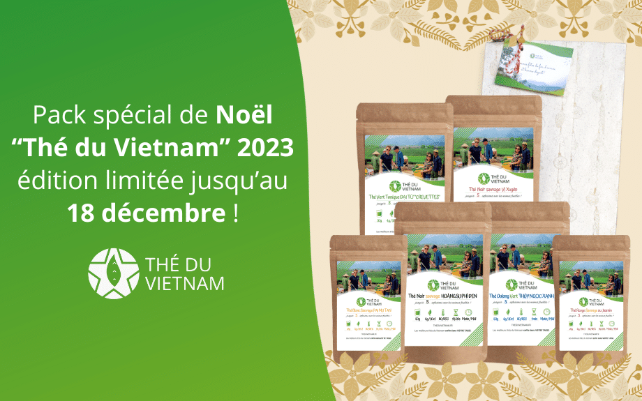new blog hero picture 2023 6 | Thé Du Vietnam