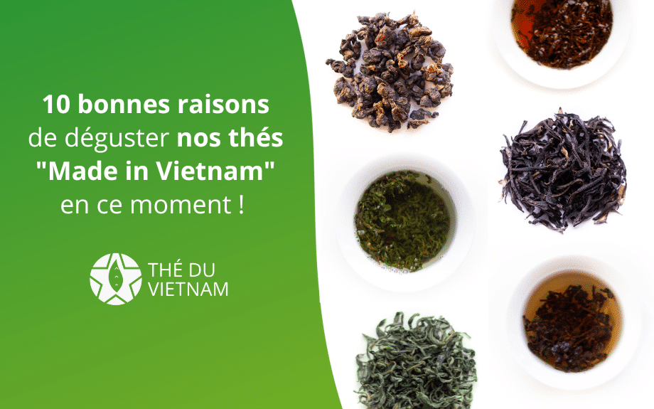 new blog hero picture 2023 11 | Thé Du Vietnam