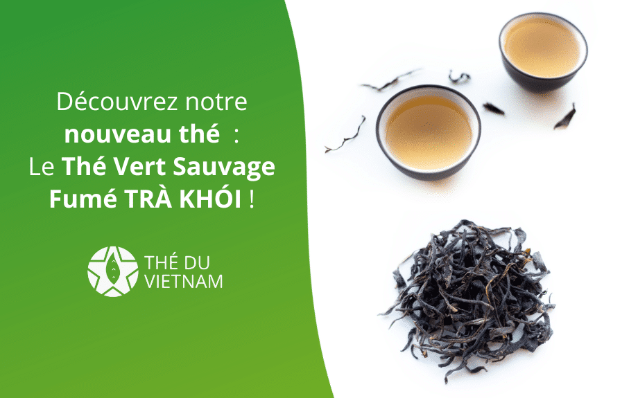 new blog hero picture 2023 12 | Thé Du Vietnam