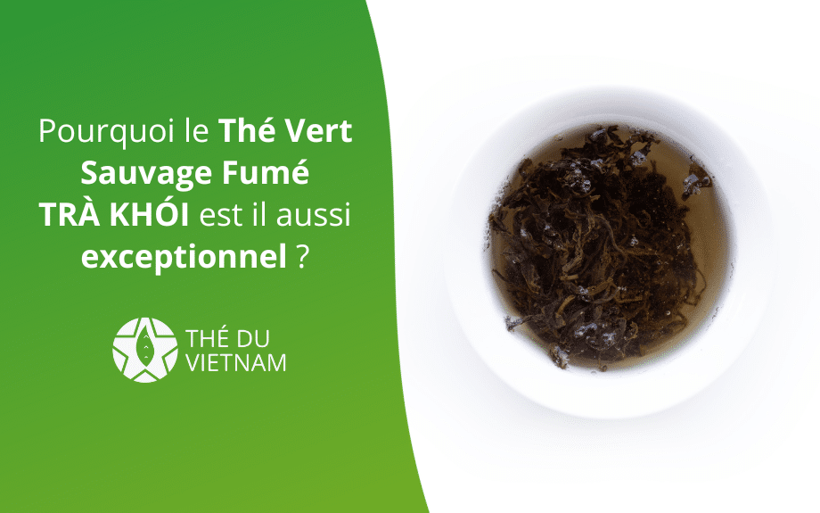 Pourquoi le Thé Vert Sauvage Fumé TRÀ KHÓI est il aussi exceptionnel ? | Thé Du Vietnam new blog hero picture 2023 | Thé Du Vietnam