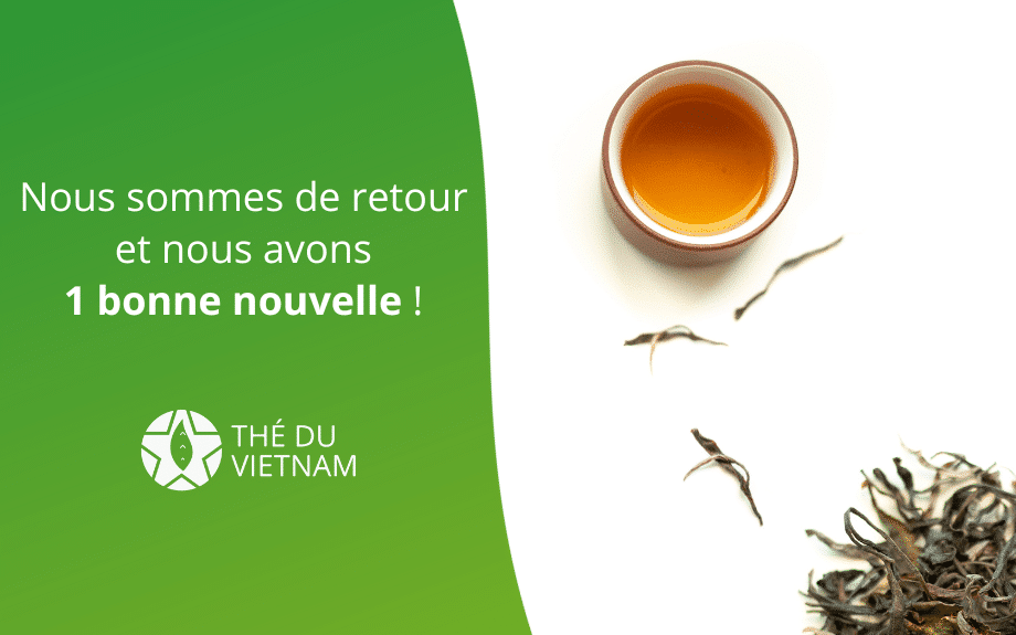 new blog hero picture 2023 | Thé Du Vietnam