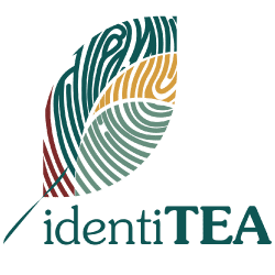 identitea | Thé Du Vietnam