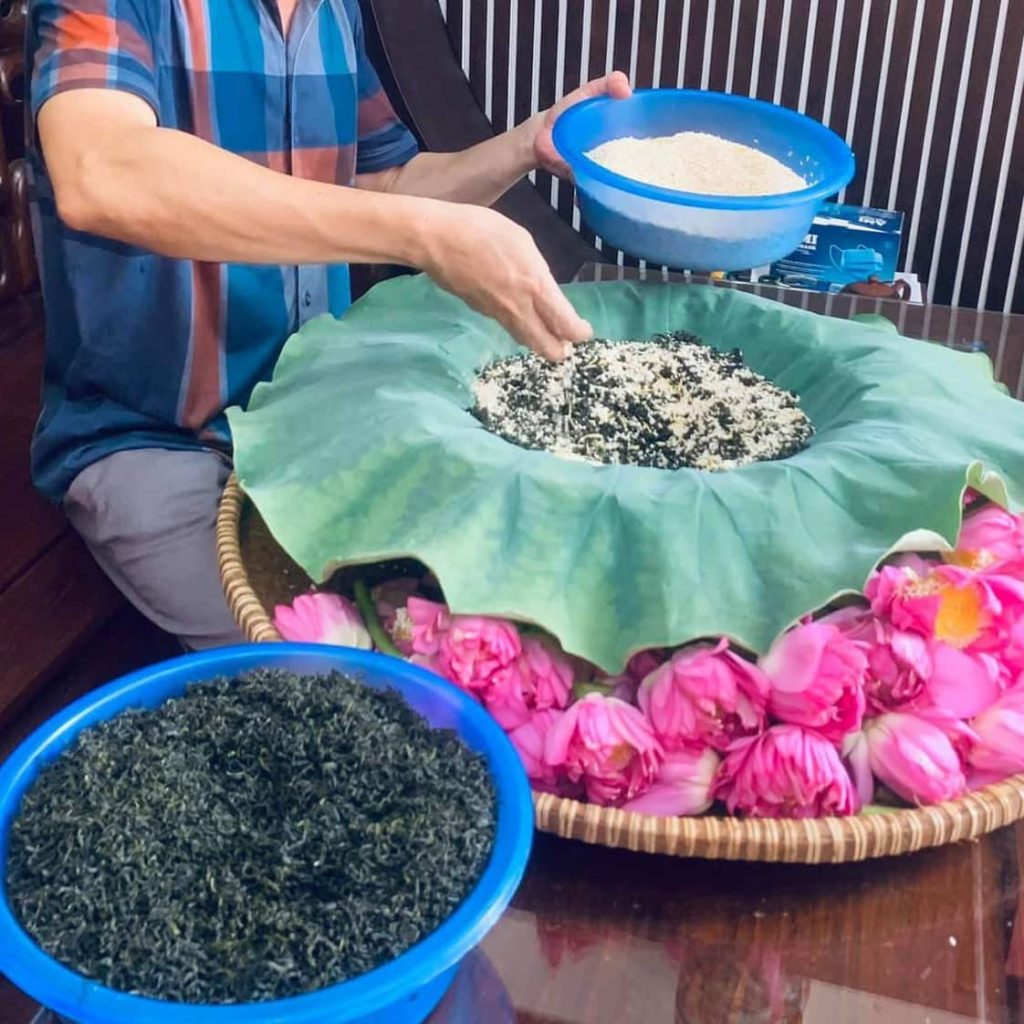 Thé Vert Sauvage au Lotus Cueillette de Printemps 2023