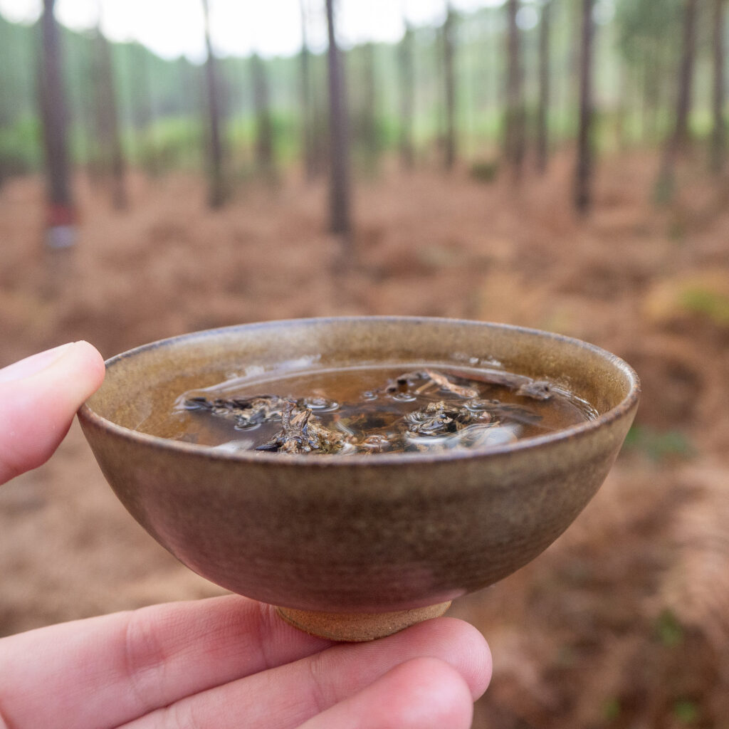 Thé Pu-erh Sauvage Cru Millésime 2017 en Tablette